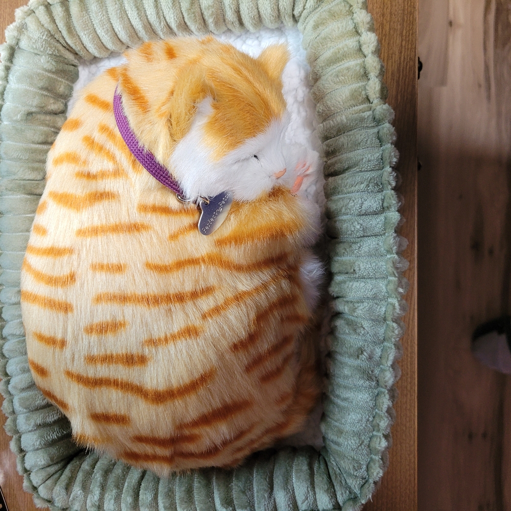 Life Like Plush Cat that Purrs